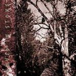 The forgotten belief