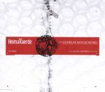 Ich hab die Nacht geträumet