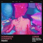 Homemade dynamite (remix)