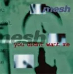 You didn't want me (single)