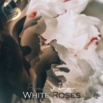 White roses (single)