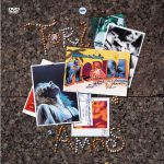 Scarlet's hidden treasures