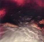 Flowers for vases / Descansos