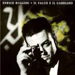 Il falco e il gabbiano