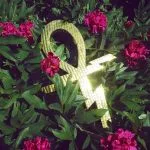 Paraphernalia (single)