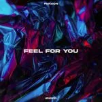 Feel for you (single)