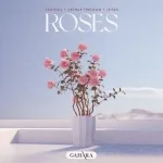 Roses (single)