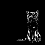 Only God can judge me and more