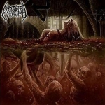 Wading through rancid offal