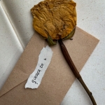 Querer de + (sencillo)