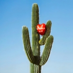 Ho voglia di te (Singolo)