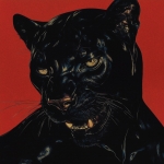 Not good enough (single)