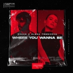 Where you wanna be (single)