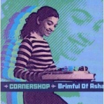 Brimful of Asha (single)