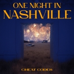 One night in Nashville