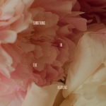 Something in the Heavens (single)