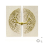 Been undone (single)