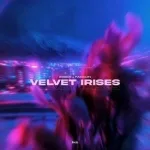 Velvet irises (single)