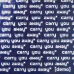 carry you away (demo)