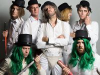 Flaming lips, the