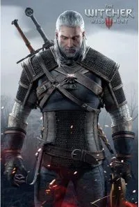the_witcher