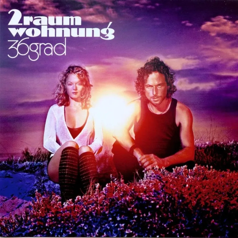 Обложка альбома 2raumwohnung 36grad (2007)