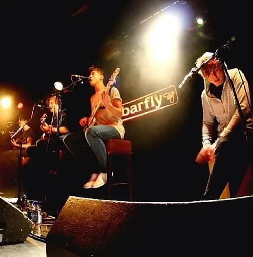 5 Seconds of Summer во время акустического выступления (2013)