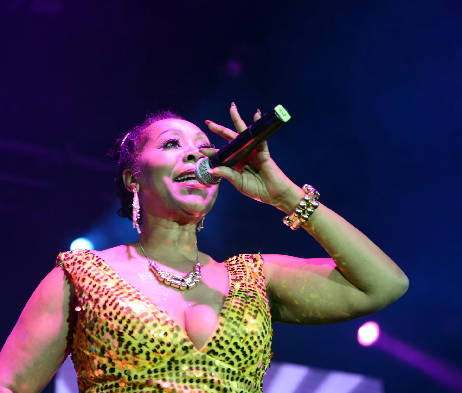 Концертное фото Boney M (Братислава, 2015)