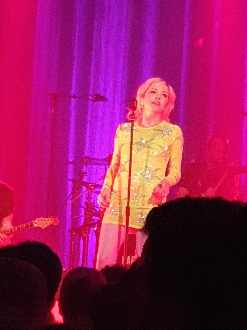 Кэрли Рэй Джепсен на сцене в Окленде, 2019