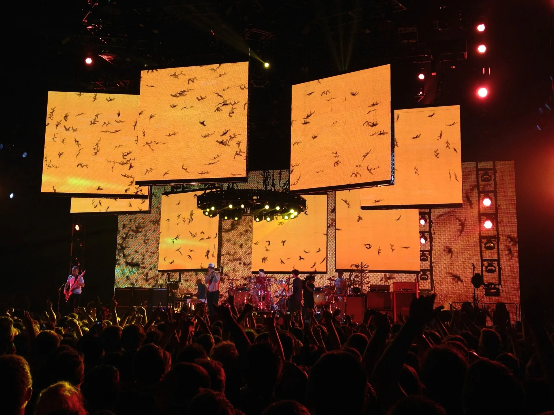 Red Hot Chili Peppers на концерте, 2011