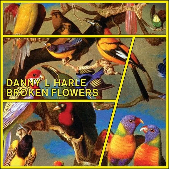 Обложка EP Danny L Harle — Broken Flowers (2015)