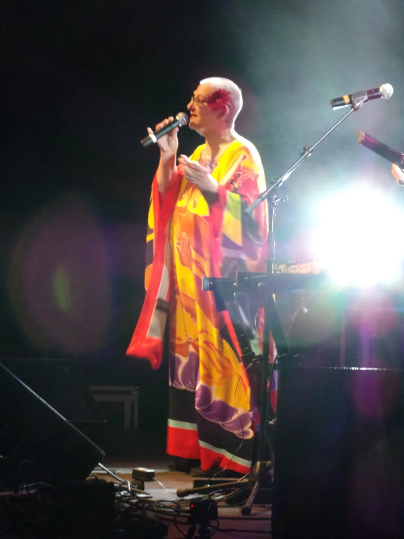 Desireless на концерте в Сорг (Франция), февраль 2016 — портретное концертное фото