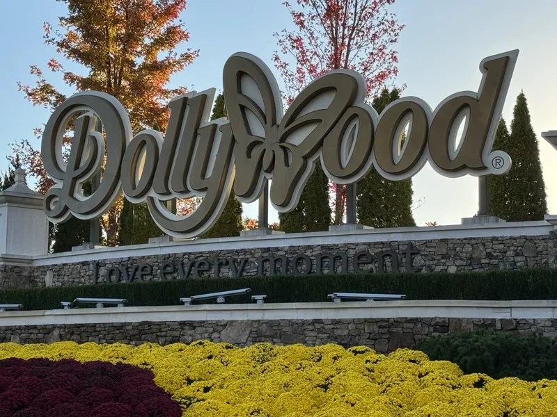 Вывеска Dollywood