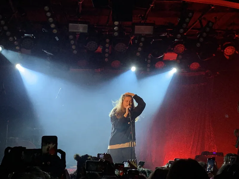 girl in red на сцене, концерт в Лос-Анджелесе, 2019