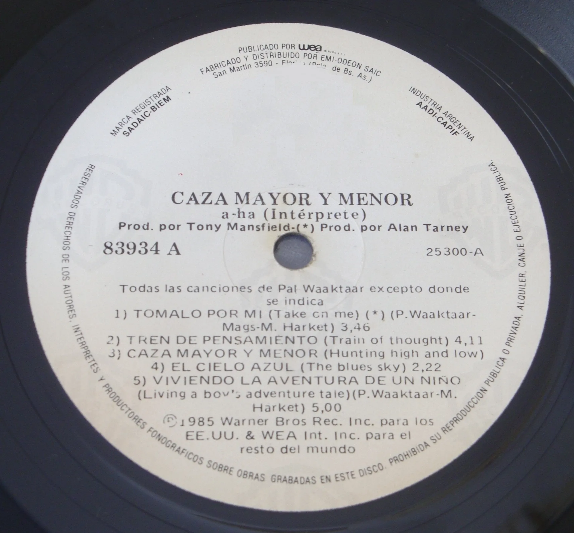 Hunting High and Low, фото винила