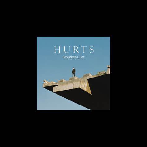 Hurts — обложка релиза Wonderful Life
