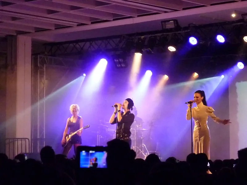 In Strict Confidence на сцене Amphi Festival, 2011: общий план выступления