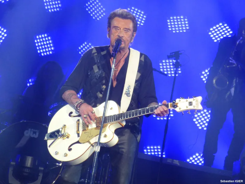 Джонни Холлидей на концерте тура Rester vivant, 2015