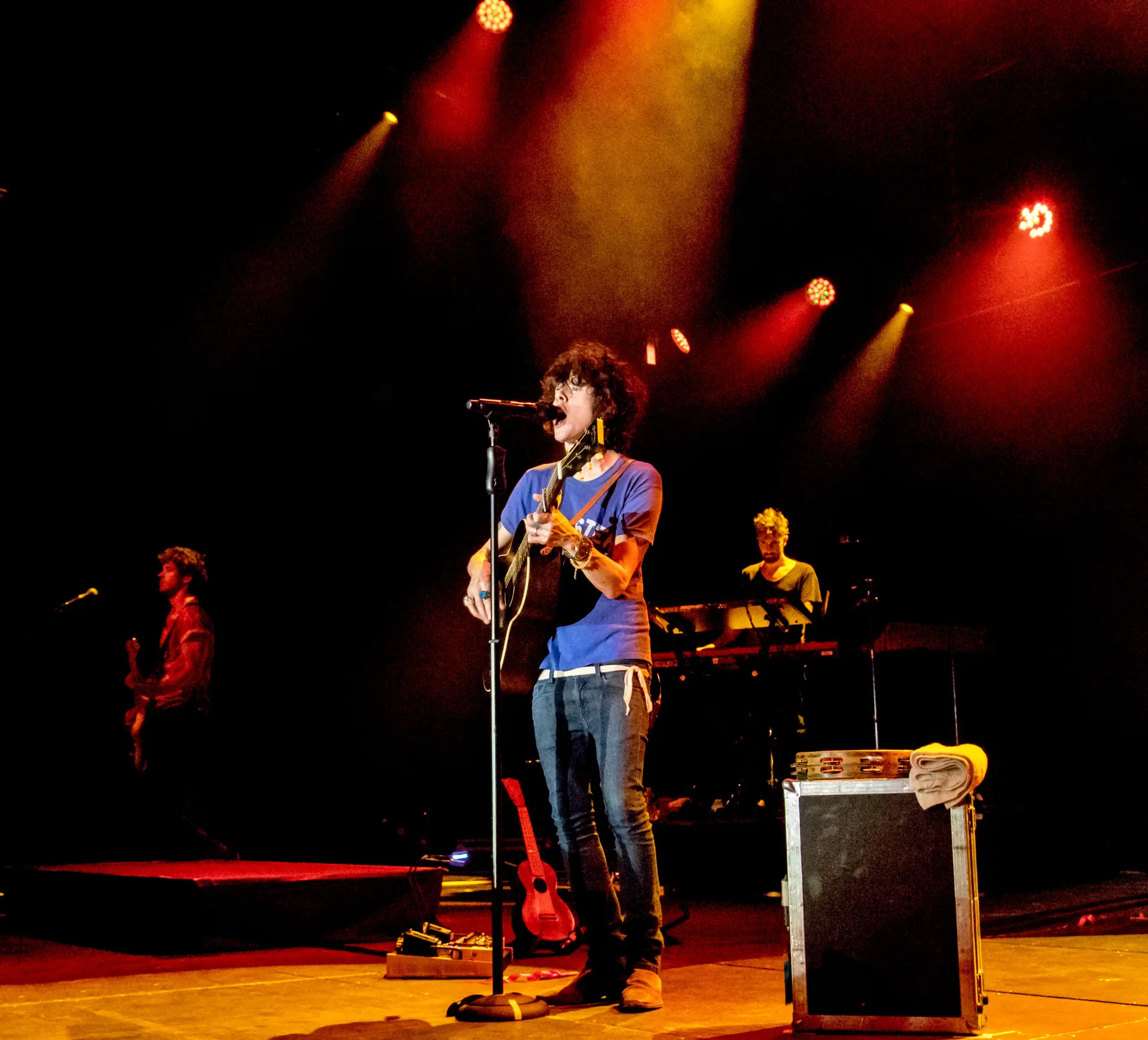 LP выступает на Zelt-Musik-Festival, 2018, концертное фото