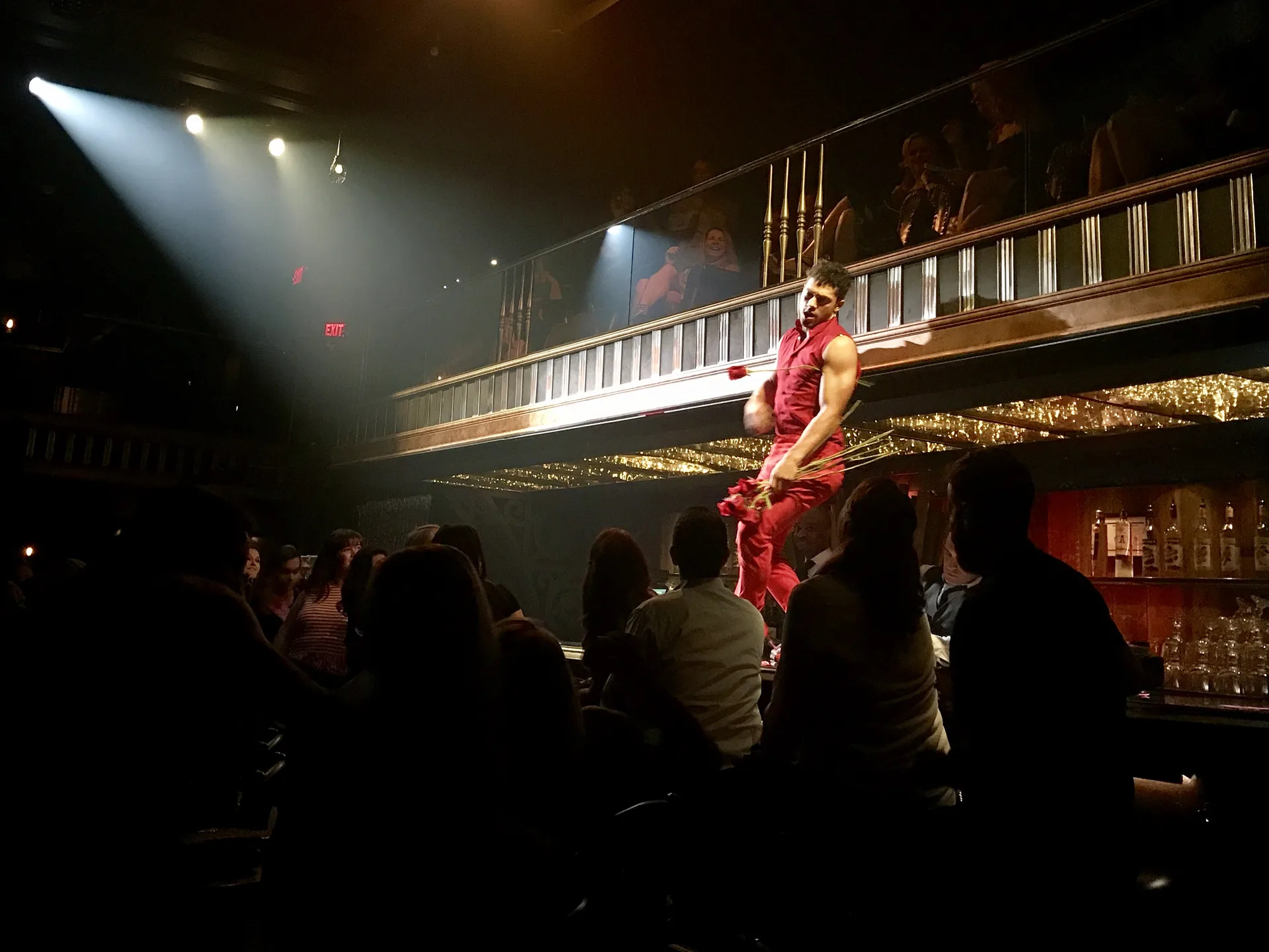 Luis Fonsi на концерте (2017)