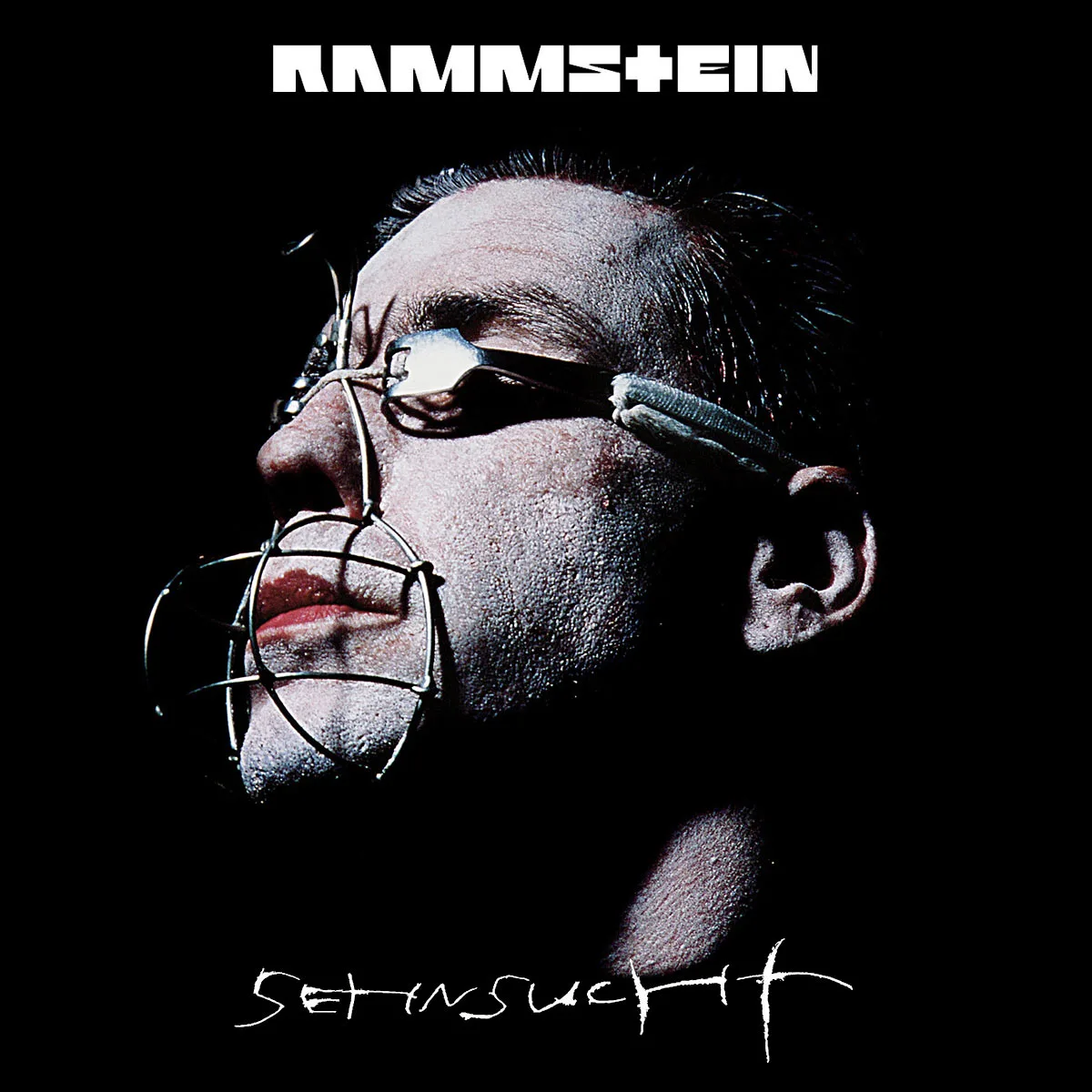 Обложка альбома Rammstein Sehnsucht