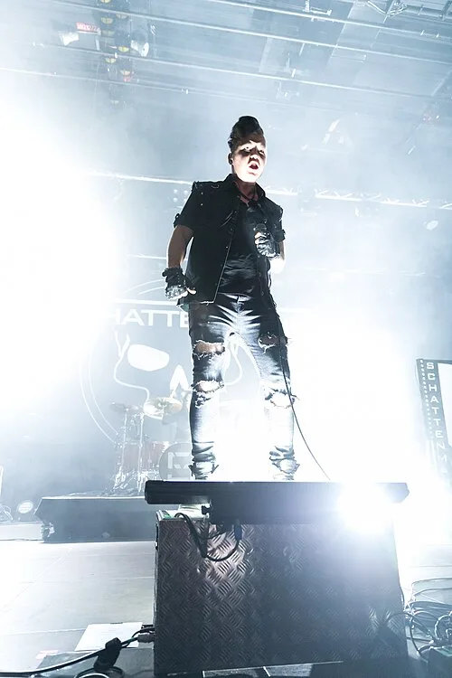 Фронтмен Schattenmann Frank Herzig на сцене Black Castle Festival, 2018, портрет