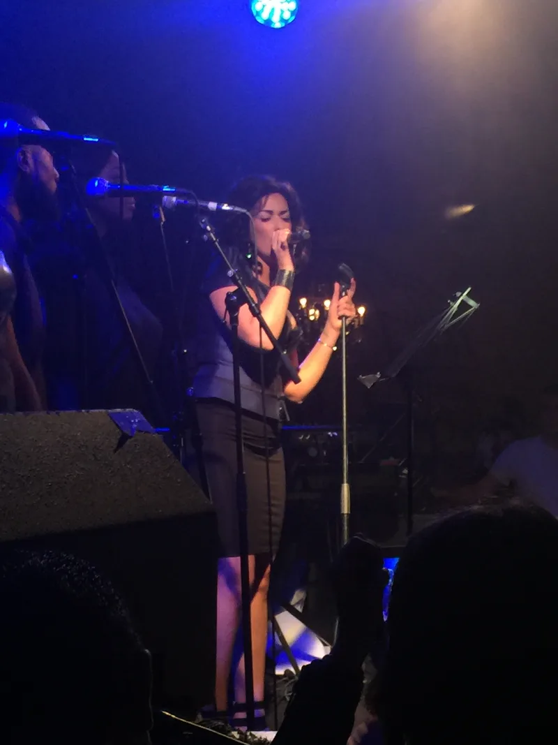 Sheryfa Luna на сцене, концерт в Париже, 2015