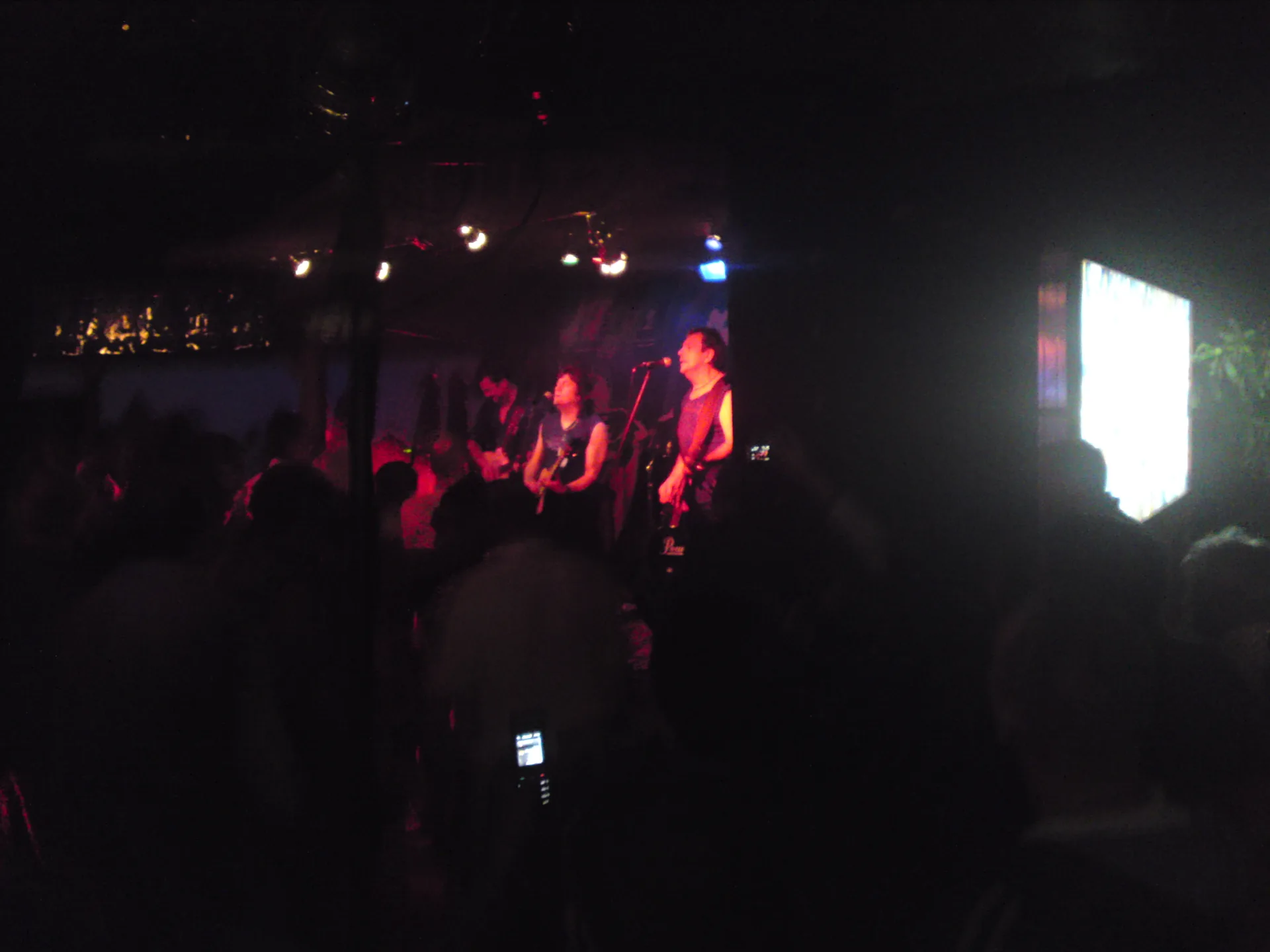 Smokie на концерте, 2009 год, Польша