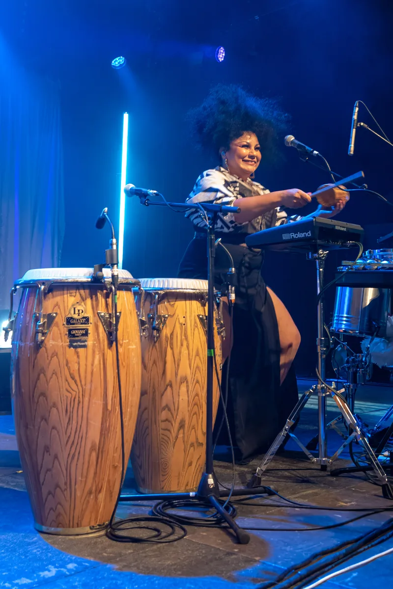 Концертное выступление The Cat Empire на фестивале, 2024 год