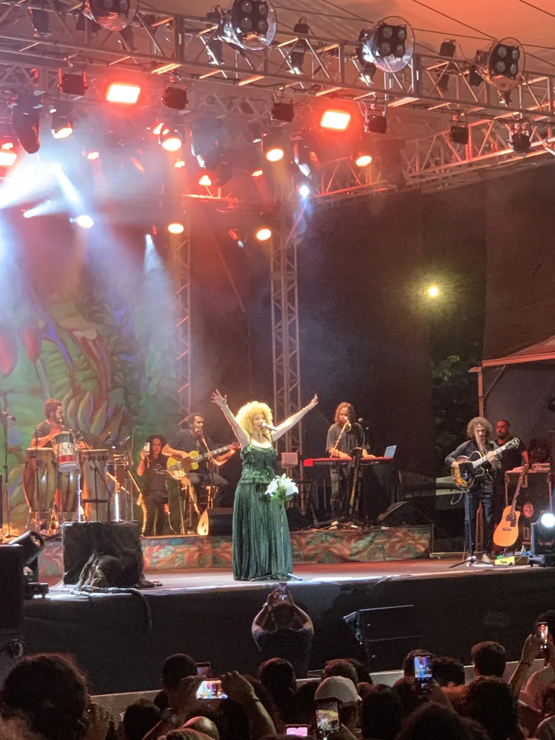 Vanessa da Mata и группа на сцене во время концерта в Ангра-дус-Рейс, 18 мая 2024