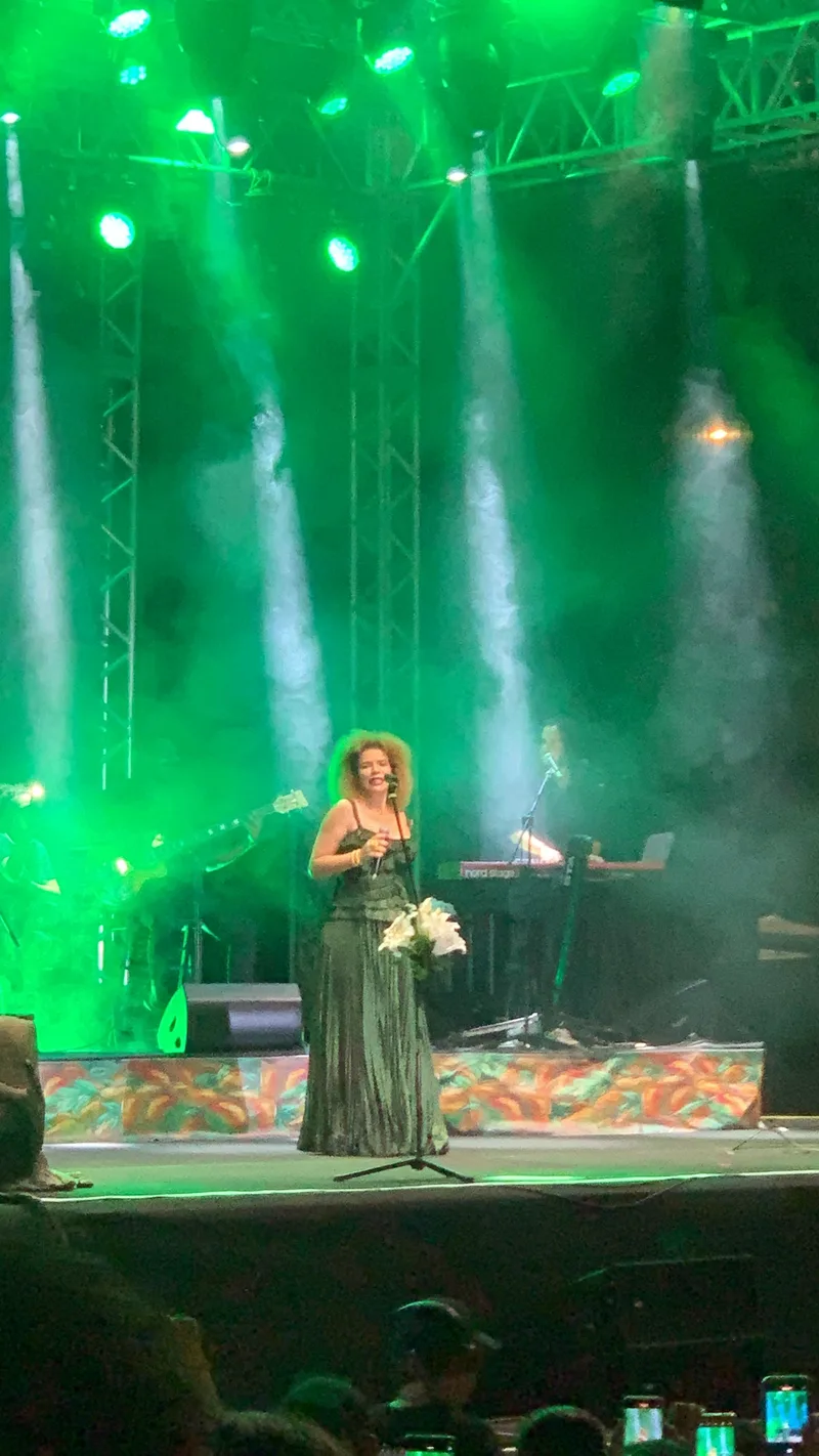 Vanessa da Mata на концерте в Ангра-дус-Рейс, 18 мая 2024