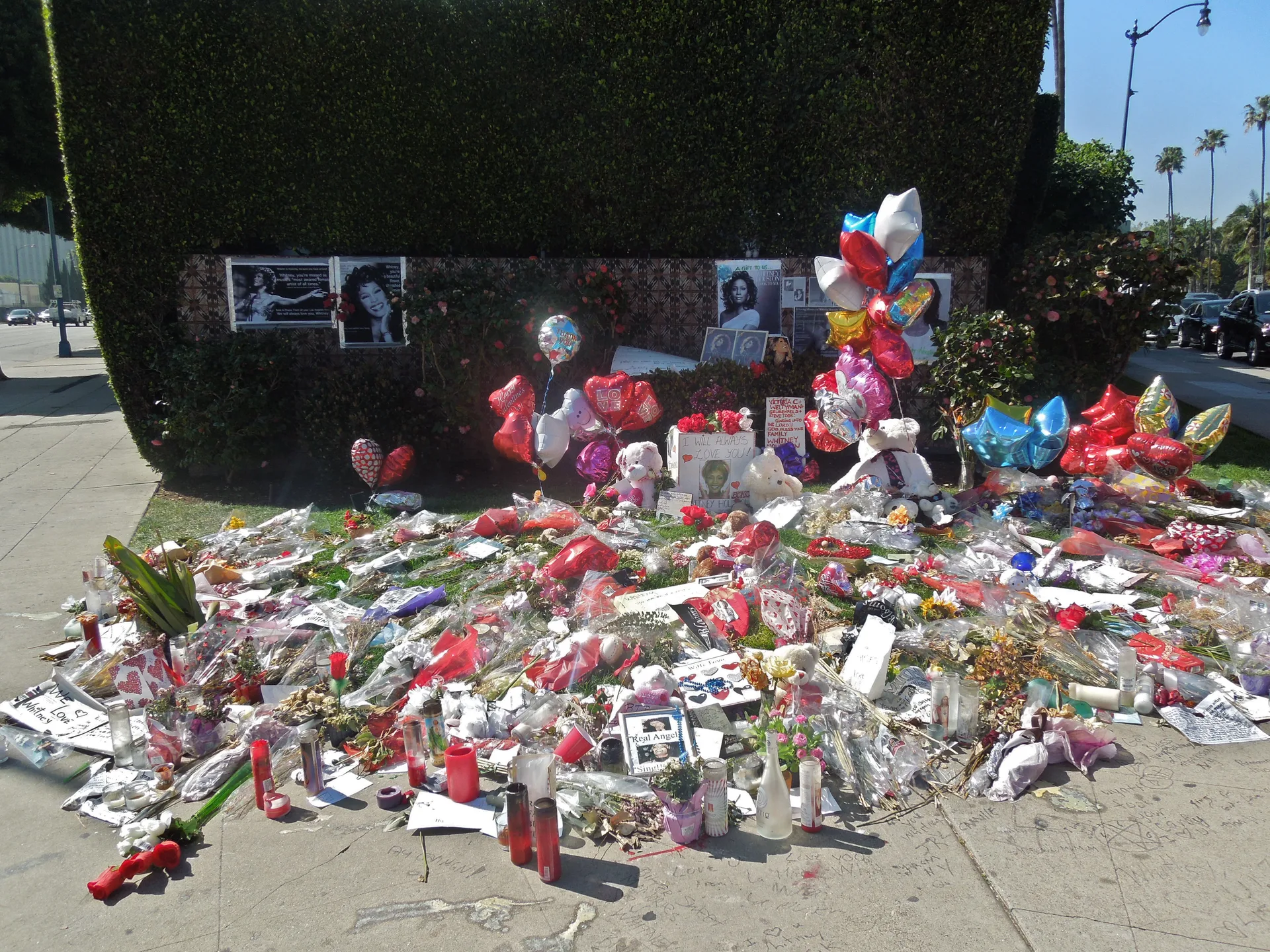 Мемориал с цветами после смерти Whitney Houston, 2012