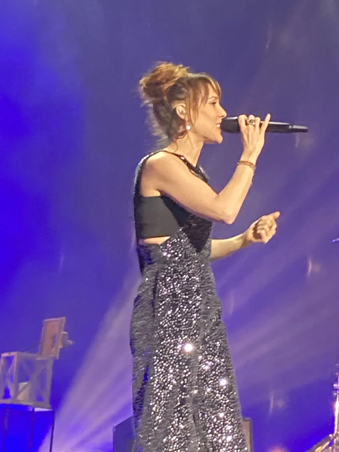 ZAZ на сцене, концертное фото